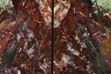 Tall, Red And Yellow Jasper Bookends - Marston Ranch, Oregon #172003-1